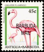 Barbuda 1996 - serie Uccelli: 45 c