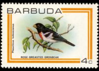 Barbuda 1980 - set Birds: 4 c