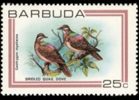 Barbuda 1980 - serie Uccelli: 25 c