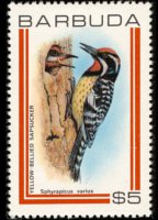 Barbuda 1980 - set Birds: 5 $