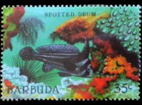 Barbuda 1987 - serie Vita marina: 35 c