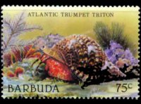 Barbuda 1987 - set Sealife: 75 c