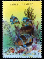 Barbuda 1987 - serie Vita marina: 5 $