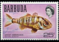 Barbuda 1969 - set Fishes: 25 c