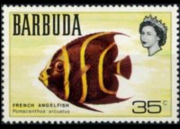 Barbuda 1969 - set Fishes: 35 c