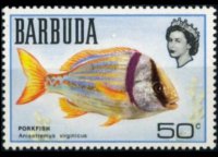 Barbuda 1969 - set Fishes: 50 c