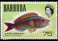 Barbuda 1969 - set Fishes: 75 c