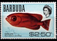 Barbuda 1969 - set Fishes: 2,50 $