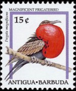 Antigua e Barbuda 1995 - serie Uccelli: 15 c