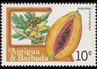 Antigua and Barbuda 1983 - set Fruits: 10 c