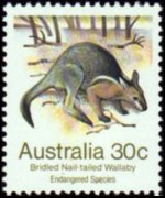 Australia 1981 - serie Animali a rischio di estinzione: 30 c
