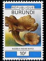 Burundi 1992 - set Mushrooms: 10 fr