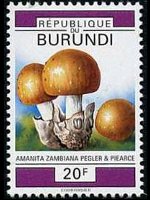 Burundi 1992 - set Mushrooms: 20 fr