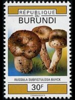 Burundi 1992 - set Mushrooms: 30 fr