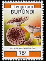 Burundi 1992 - set Mushrooms: 75 fr
