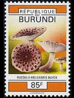 Burundi 1992 - set Mushrooms: 85 fr