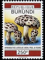 Burundi 1992 - set Mushrooms: 250 fr
