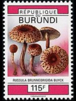 Burundi 1992 - set Mushrooms: 115 fr