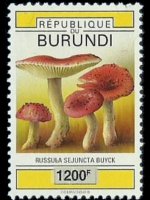 Burundi 1992 - set Mushrooms: 1200 fr su 120 fr