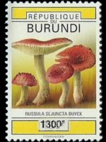 Burundi 1992 - serie Funghi: 1300 fr su 120 fr