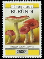 Burundi 1992 - set Mushrooms: 2500 fr su 120 fr