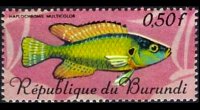 Burundi 1967 - set Tropical fish: 0,50 fr