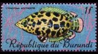 Burundi 1967 - set Tropical fish: 1 fr