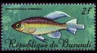 Burundi 1967 - set Tropical fish: 2 fr