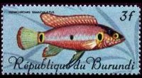 Burundi 1967 - set Tropical fish: 3 fr