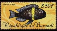 Burundi 1967 - set Tropical fish: 3,50 fr