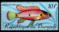 Burundi 1967 - set Tropical fish: 10 fr