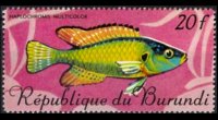 Burundi 1967 - serie Pesci tropicali: 20 fr