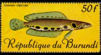 Burundi 1967 - set Tropical fish: 50 fr