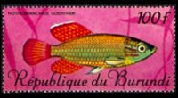 Burundi 1967 - set Tropical fish: 100 fr