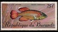 Burundi 1967 - set Tropical fish: 75 fr