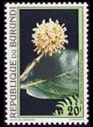Burundi 1995 - set Flowers: 20 fr