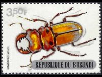 Burundi 1970 - set Beetles: 3,50 fr