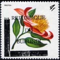 Burundi 1967 - set Flowers - Republic: 4 fr