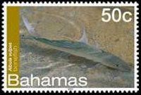Bahamas 2012 - set Sea life: 50 c