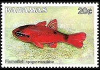 Bahamas 1986 - set Fishes: 20 c