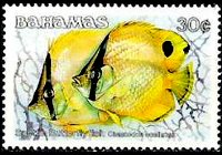 Bahamas 1986 - set Fishes: 30 c