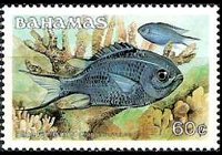Bahamas 1986 - set Fishes: 60 c