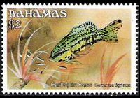 Bahamas 1986 - set Fishes: 2 $