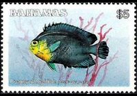 Bahamas 1986 - set Fishes: 5 $