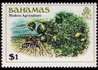 Bahamas 1980 - serie Storia delle Bahamas: 1 $