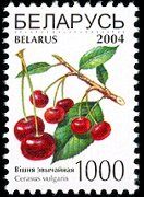 Belarus 2004 - set Fruits: 1000 r