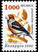 Bielorussia 2006 - serie Uccelli: 1000 r