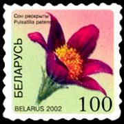 Bielorussia 2002 - serie Fiori: 100 r