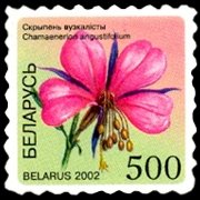 Bielorussia 2002 - serie Fiori: 500 r