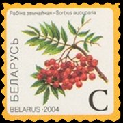 Bielorussia 2004 - serie Piante e frutti: C